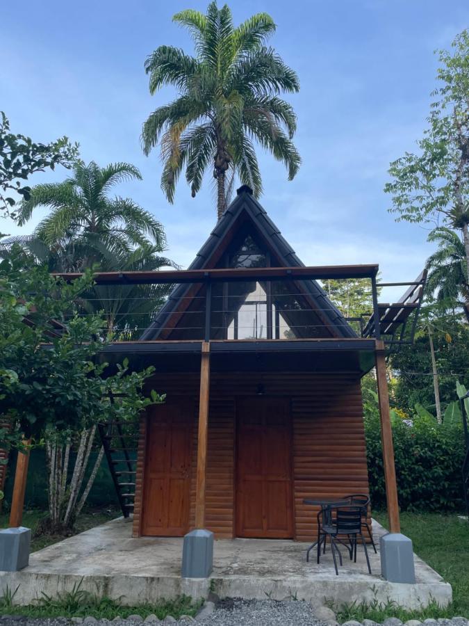 Bungalows Sloth Manzanillo  Værelse billede